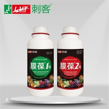 刺客®膜葆套装